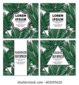 Vector illustration of tropical plants background square cards templates with minimalistic labels on it. Nautical stylish flyers with empty place for your text.