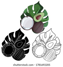 ilustración vectorial, plantas tropicales, coco, frutos en colores negros y brillantes, plantilla, adorno de tatuajes, aíslar sobre un fondo blanco