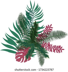 Vector Illustration of tropical plants and leaves arrangement isolated on a white background for textile design or wallpaper