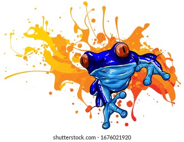 vector illustration tropical red eyed tree frog