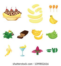 Vector illustration of tropical and ripe icon. Set of tropical and potassium vector icon for stock.