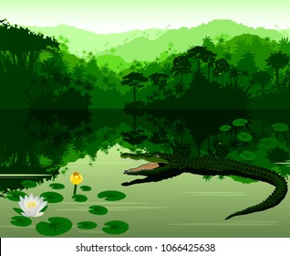 Vector Illustration Tropical river with crocodile