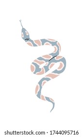 Ilustración vectorial de serpiente tropical sobre fondo blanco.