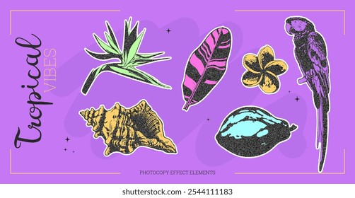 Vector illustration of tropical stickers. Design highlights flowers, parrot, and exotic leaves. Colorful background with vintage, playful feel.
