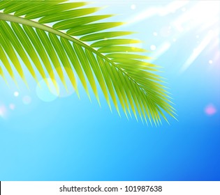 Vector illustration of tropical summer background palm tree leaf
