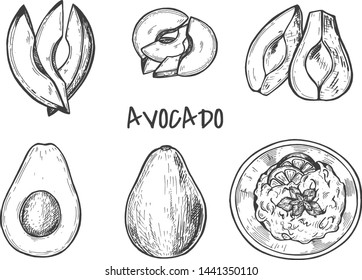 Vector illustration of tropical summer exotic fruit set. Avocado whole, halve, quarter, pit, slices, salsa guacamole. Vintage hand drawn style.