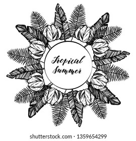 Vector illustration, Tropical summer. tropical leaves,cacti, print on t-shirt, white background, Handmade