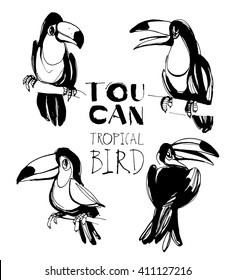Vector illustration Tropical summer set with toucan birds. Ink splatter grunge style background