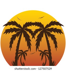 Vector illustration of a tropical sunset and palm trees.vector