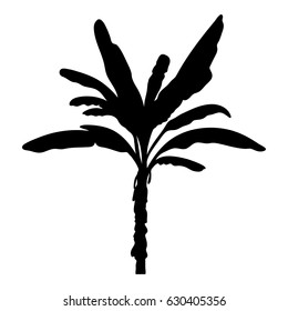 vector illustration of tropical tree silhouette. EPS