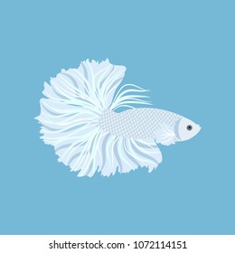 Vector illustration with a tropical white betta fish on a blue background. Template for the design of the album, poster, web design, application.