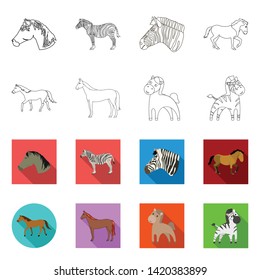 Vector illustration of trot and running icon. Collection of trot and clipart vector icon for stock.
