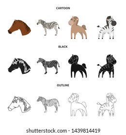Vector illustration of trot and running icon. Collection of trot and clipart vector icon for stock.