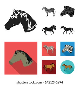 Vector illustration of trot and running logo. Set of trot and clipart stock vector illustration.