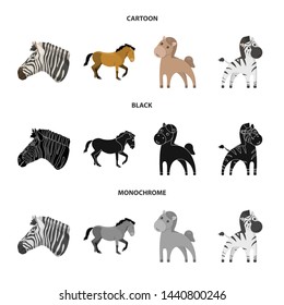 Vector illustration of trot and running logo. Set of trot and clipart stock symbol for web.