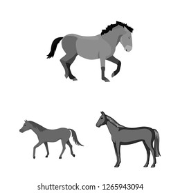 Vector illustration of trot and running symbol. Set of trot and clipart stock symbol for web.