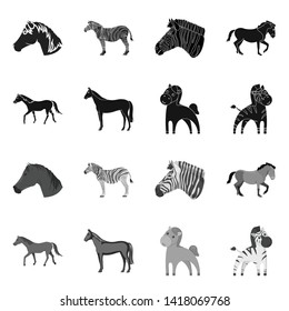 Vector illustration of trot and running symbol. Collection of trot and clipart vector icon for stock.