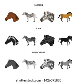 Vector illustration of trot and running symbol. Set of trot and clipart stock symbol for web.