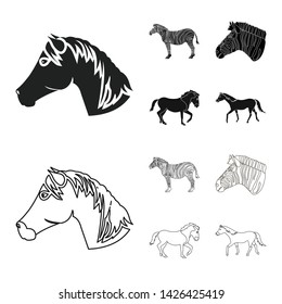 Vector illustration of trot and running symbol. Collection of trot and clipart stock vector illustration.