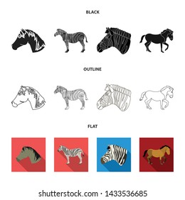 Vector illustration of trot and running symbol. Set of trot and clipart vector icon for stock.