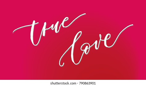 Vector illustration of "True Love" message. Hand drawn typography. True Love handwritten calligraphy text with pink background.