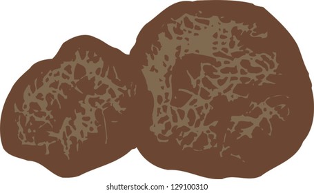 Vector illustration of truffles