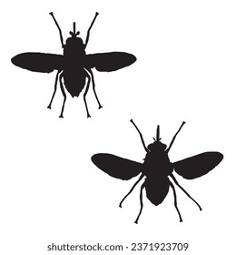 Vector Illustration of Tsetse Fly Silhouette