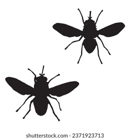 Vector Illustration of Tsetse Fly Silhouette