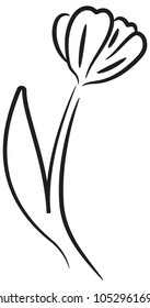 A vector illustration of a tulip. 
