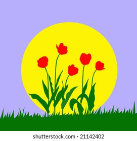 tulip de ilustración vectorial contra el sol