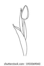Vektorgrafik einer Tulpe. Doodle-Stil. Geeignet für Design, Druck, Dekoration, Textilien, Papier und Farben.