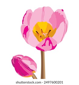 Ilustración vectorial de flor de tulipán