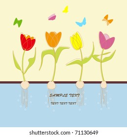 vector illustration tulip flower