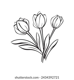 vector illustration of tulip flower. coloring page