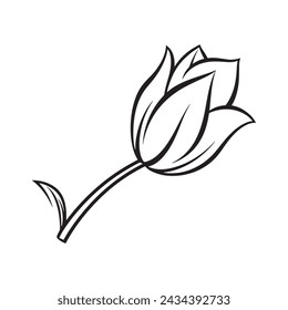 vector illustration of tulip flower. coloring page