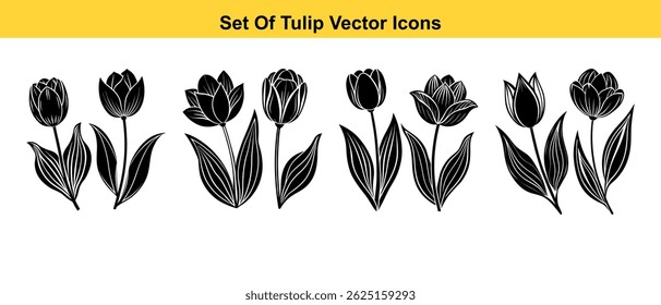 vector illustration of Tulip flowers