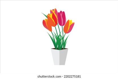 Ilustración vectorial de las flores Tulip sobre fondo blanco. 