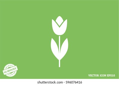 vector illustration of tulip, icon.