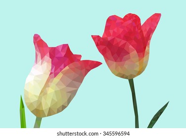 Vector illustration of Tulip low poly style. 