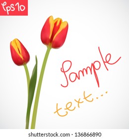 Vector illustration of tulips