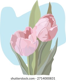 Vector illustration of tulips. Can be used for a postcard, website, book, or poster.