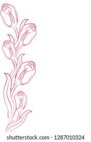 
vector illustration tulips flowers frame