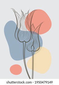 Ilustración vectorial de tulipanes para impresión, fondo y tela.
