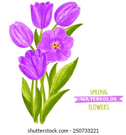 Vector illustration of tulips. Watercolor floral illustration. Floral design elements.Global color used.