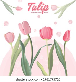 Vector illustration of tulips Watercolor flower illustration And tulip line art Pink tone tulip design elements