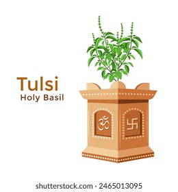 Vector illustration of tulsi, an Indian holy basil