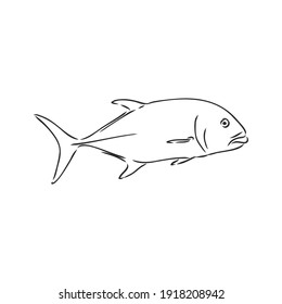 Vector illustration of tuna. Vector illustration can be used for creating logo and emblem for fishing clubs, prints, web and other crafts. tuna fish, vector sketch on white background