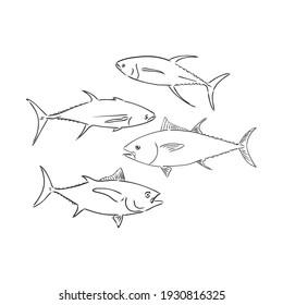 Ilustración vectorial del atún. La ilustración vectorial puede utilizarse para crear logotipo y emblema para clubes de pesca, impresiones, web y otras artesanías.