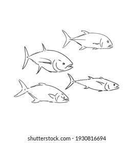 Vector illustration of tuna. Vector illustration can be used for creating logo and emblem for fishing clubs, prints, web and other crafts.