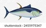 Vector illustration of Tuna fish on transparent background